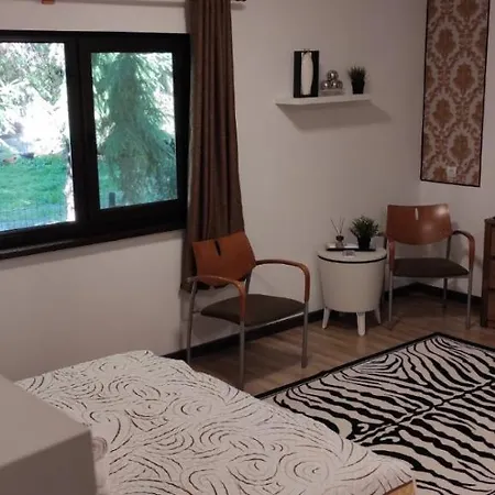 Zen Spot Homestay Satic
